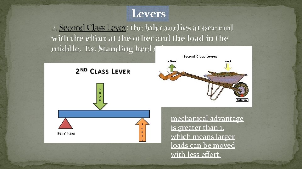  Levers 2. Second Class Lever: the fulcrum lies at one end with the