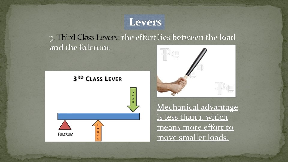  Levers 3. Third Class Levers: the effort lies between the load and the