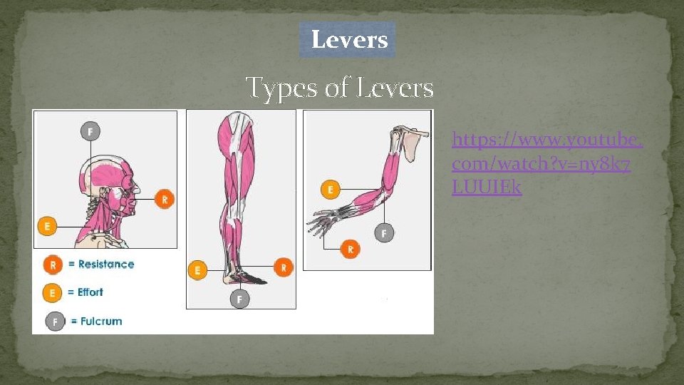  Levers Types of Levers https: //www. youtube. com/watch? v=ny 8 k 7 LUUIEk