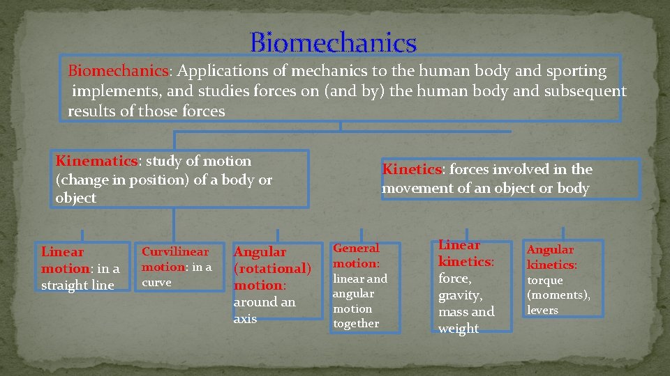 Biomechanics: Applications of mechanics to the human body and sporting implements, and studies forces