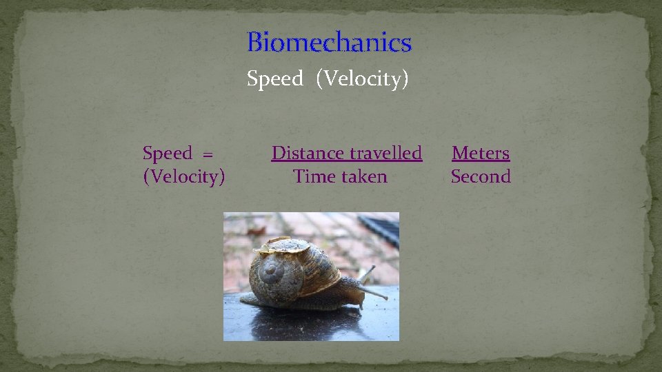 Biomechanics Speed (Velocity) Speed = Distance travelled Meters (Velocity) Time taken Second 