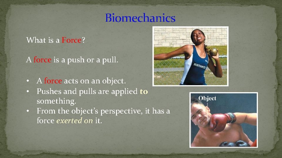 Biomechanics What is a Force? A force is a push or a pull. •
