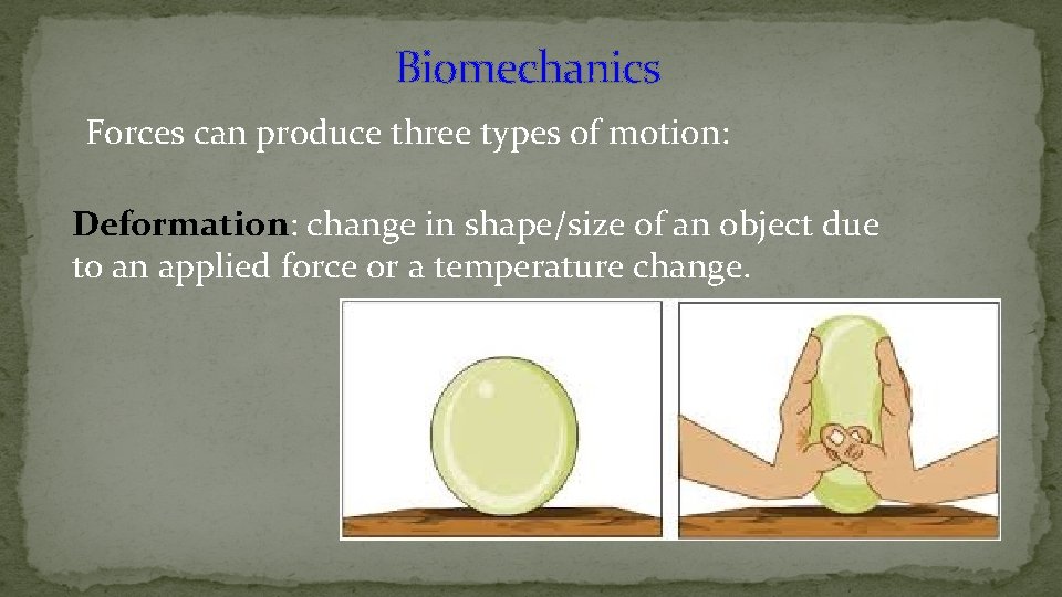 Biomechanics Forces can produce three types of motion: Deformation: change in shape/size of an