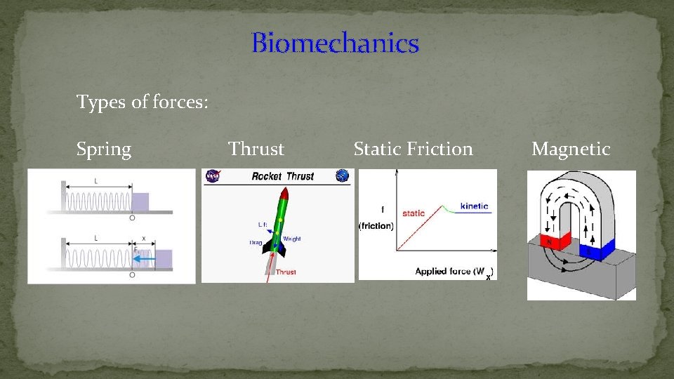 Biomechanics Types of forces: Spring Thrust Static Friction Magnetic 