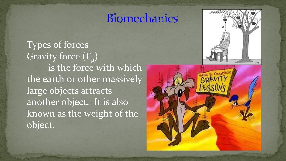 Biomechanics Types of forces Gravity force (Fg) is the force with which the earth