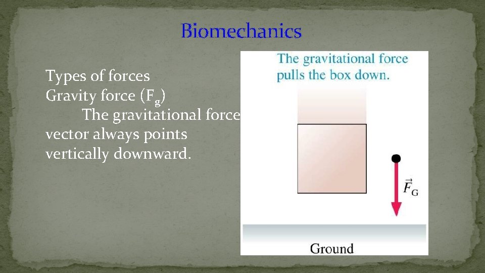 Biomechanics Types of forces Gravity force (Fg) The gravitational force vector always points vertically