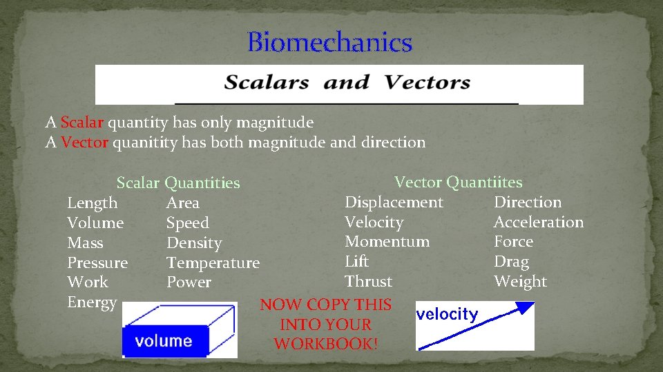 Biomechanics A Scalar quantity has only magnitude A Vector quanitity has both magnitude and