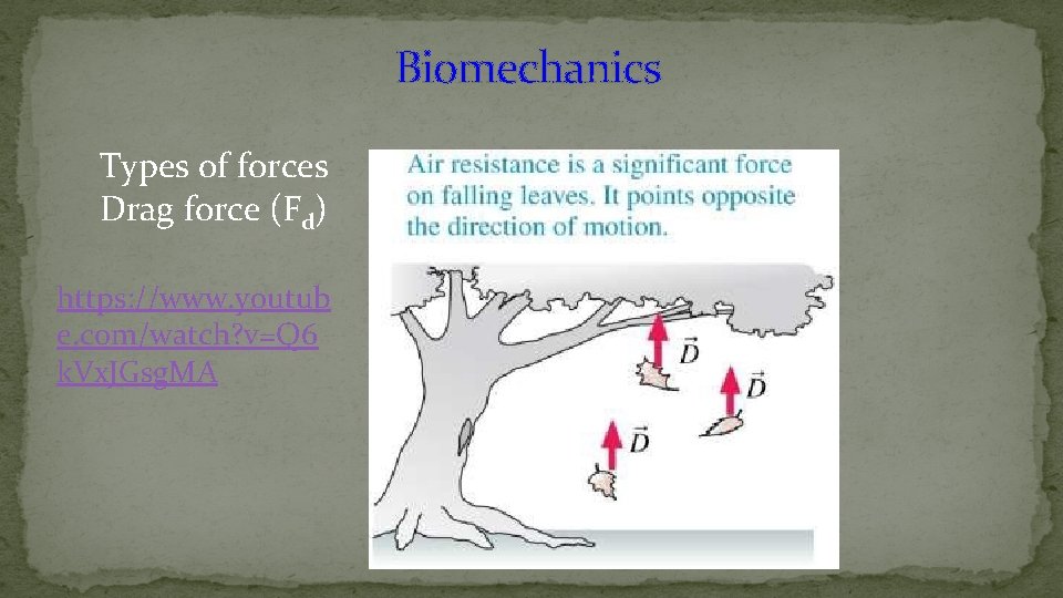 Biomechanics Types of forces Drag force (Fd) https: //www. youtub e. com/watch? v=Q 6