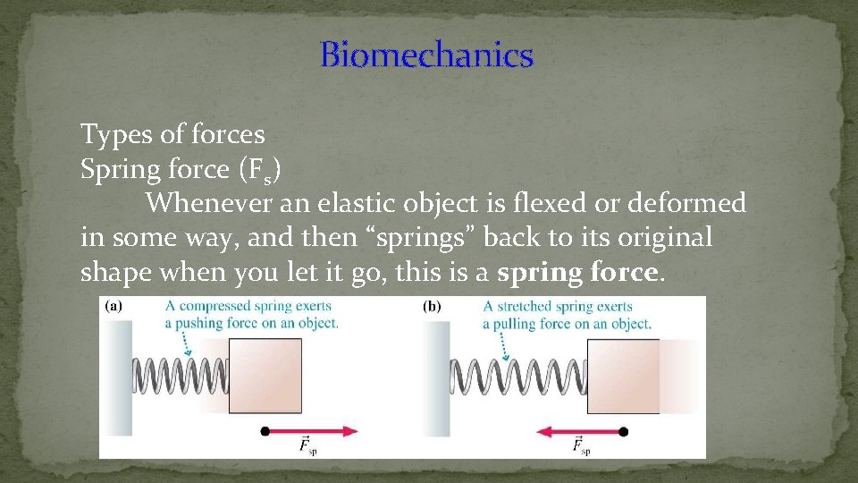 Biomechanics Types of forces Spring force (Fs) Whenever an elastic object is flexed or