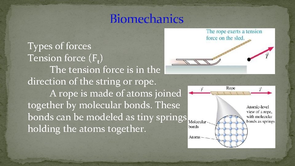 Biomechanics Types of forces Tension force (Ft) The tension force is in the direction