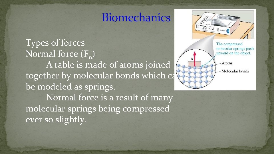 Biomechanics Types of forces Normal force (Fn) A table is made of atoms joined