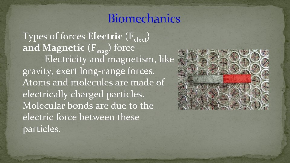 Biomechanics Types of forces Electric (Felect) and Magnetic (Fmag) force Electricity and magnetism, like