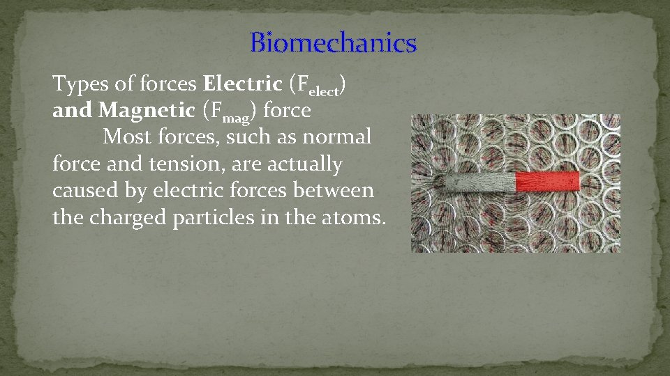 Biomechanics Types of forces Electric (Felect) and Magnetic (Fmag) force Most forces, such as