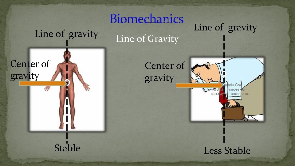 Biomechanics Line of gravity Center of gravity Line of Gravity Line of gravity Center