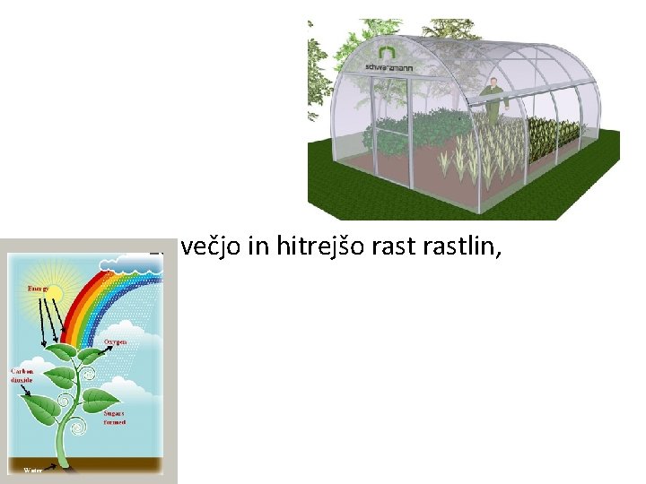 za večjo in hitrejšo rastlin, 