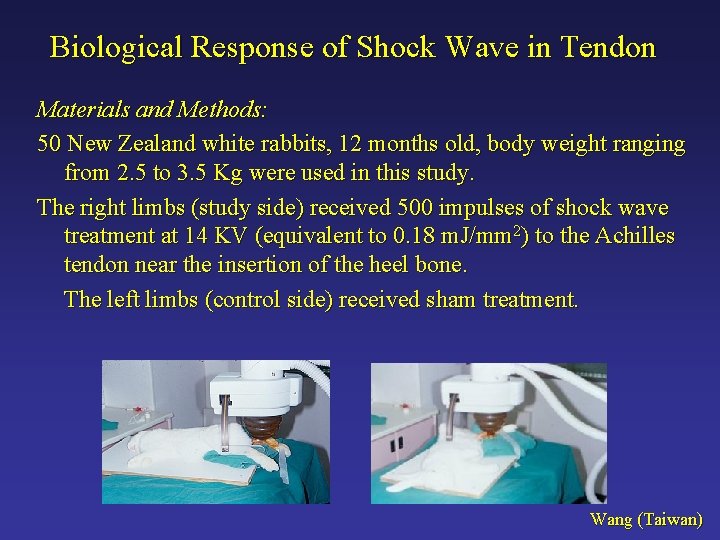 Biological Response of Shock Wave in Tendon Materials and Methods: 50 New Zealand white