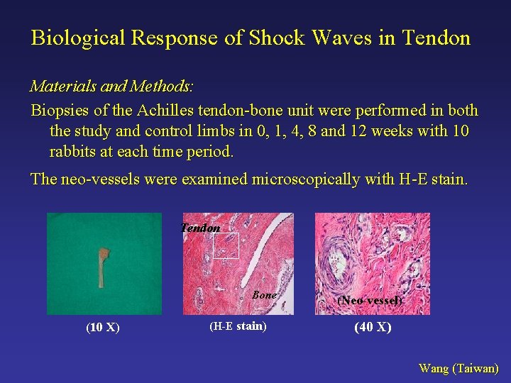 Biological Response of Shock Waves in Tendon Materials and Methods: Biopsies of the Achilles