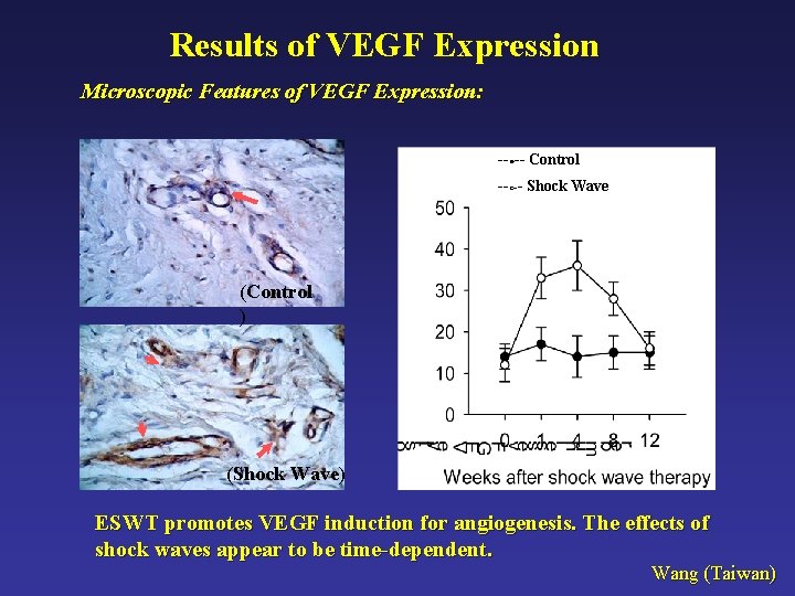 Results of VEGF Expression Microscopic Features of VEGF Expression: --●-- Control --○-- Shock Wave