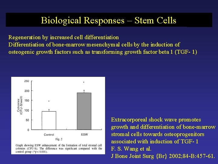 Biological Responses – Stem Cells Regeneration by increased cell differentiation Differentiation of bone-marrow mesenchymal