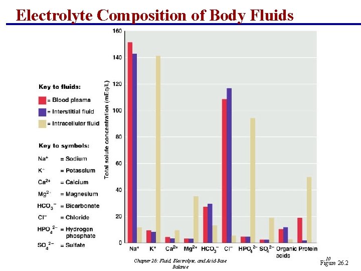 Electrolyte Composition of Body Fluids Chapter 26: Fluid, Electrolyte, and Acid-Base Balance 10 Figure