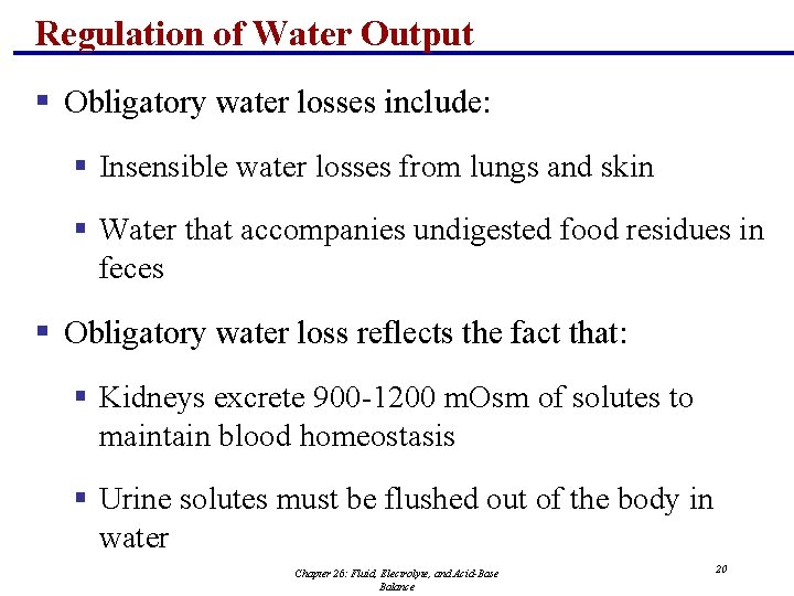 Regulation of Water Output § Obligatory water losses include: § Insensible water losses from