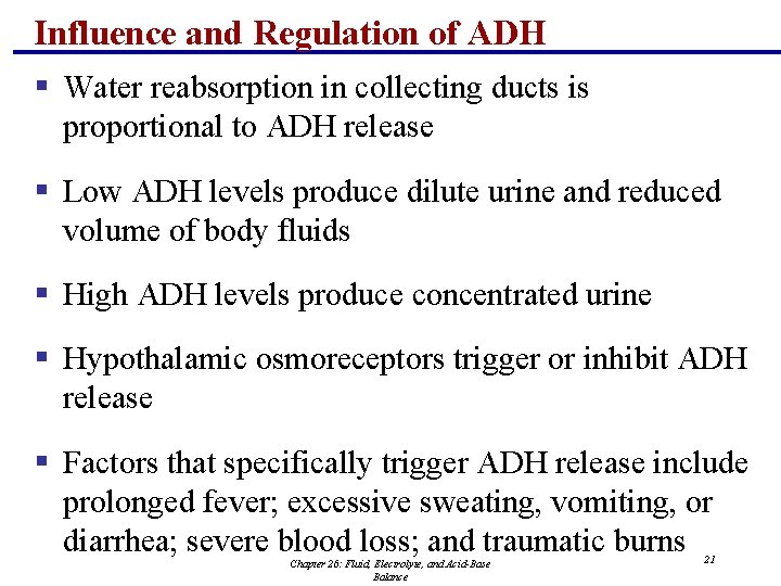 Influence and Regulation of ADH § Water reabsorption in collecting ducts is proportional to