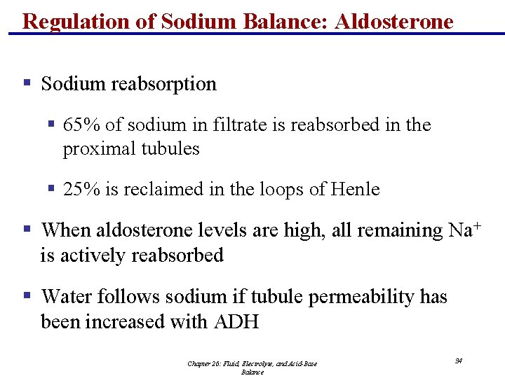 Regulation of Sodium Balance: Aldosterone § Sodium reabsorption § 65% of sodium in filtrate