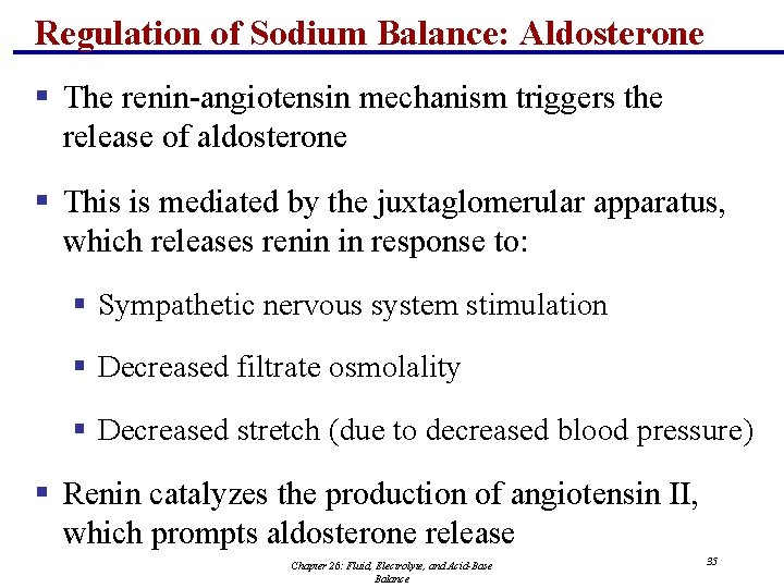 Regulation of Sodium Balance: Aldosterone § The renin-angiotensin mechanism triggers the release of aldosterone