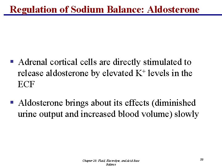 Regulation of Sodium Balance: Aldosterone § Adrenal cortical cells are directly stimulated to release