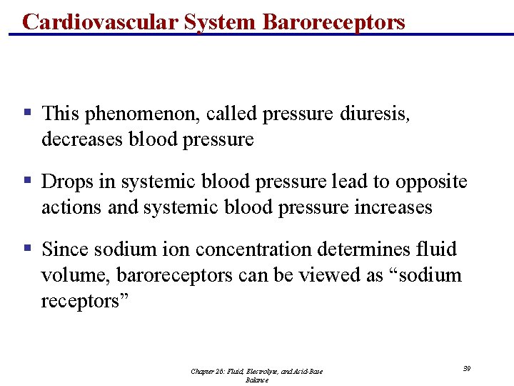 Cardiovascular System Baroreceptors § This phenomenon, called pressure diuresis, decreases blood pressure § Drops