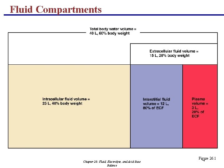 Fluid Compartments Chapter 26: Fluid, Electrolyte, and Acid-Base Balance Figure 26. 1 4 