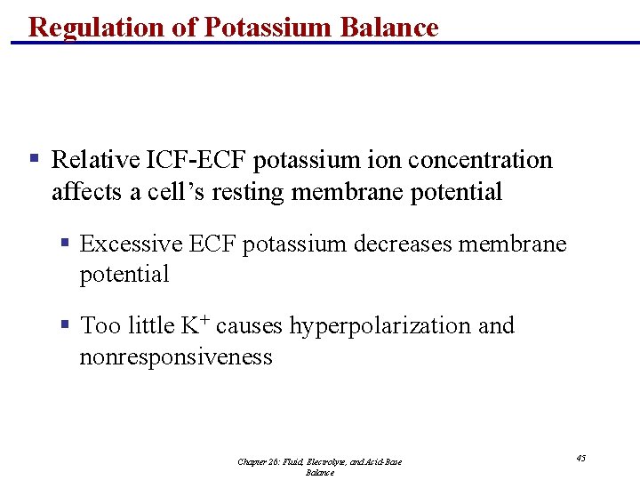 Regulation of Potassium Balance § Relative ICF-ECF potassium ion concentration affects a cell’s resting