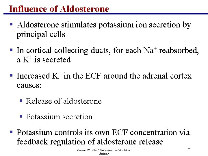 Influence of Aldosterone § Aldosterone stimulates potassium ion secretion by principal cells § In