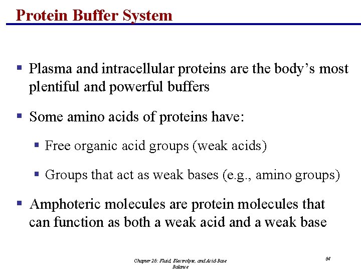 Protein Buffer System § Plasma and intracellular proteins are the body’s most plentiful and