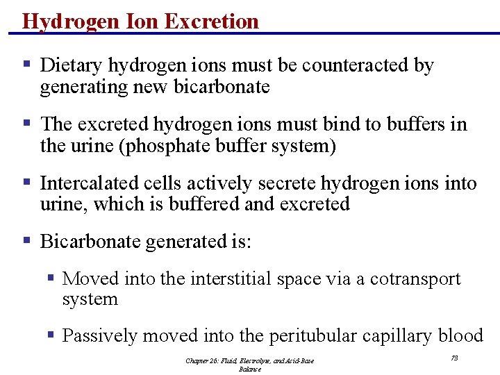 Hydrogen Ion Excretion § Dietary hydrogen ions must be counteracted by generating new bicarbonate