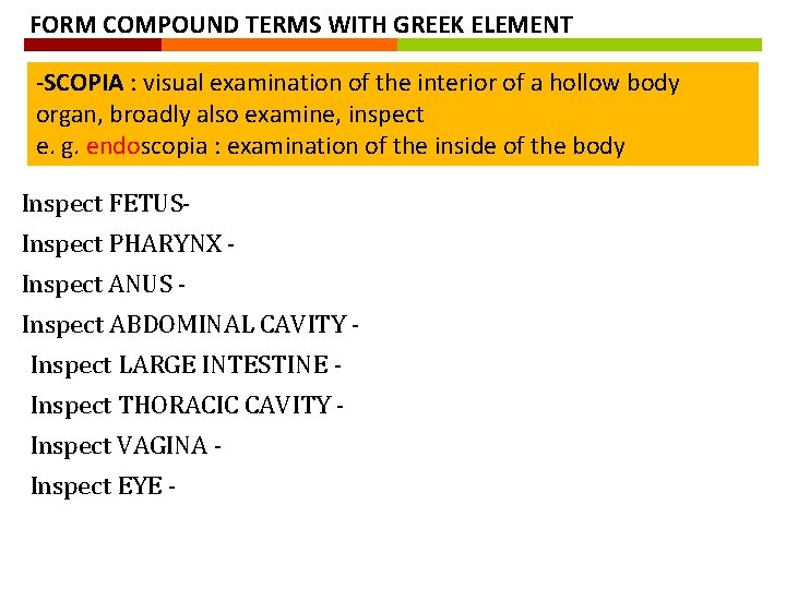 FORM COMPOUND TERMS WITH GREEK ELEMENT -SCOPIA : visual examination of the interior of
