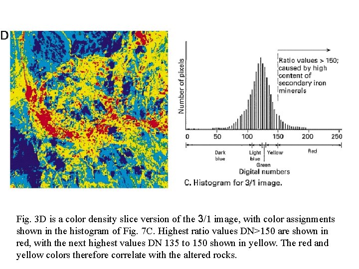 Fig. 3 D is a color density slice version of the 3/1 image, with