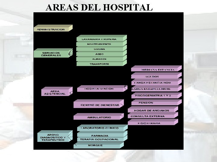 AREAS DEL HOSPITAL 