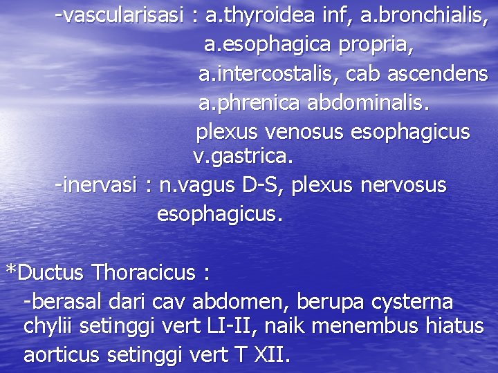 -vascularisasi : a. thyroidea inf, a. bronchialis, a. esophagica propria, a. intercostalis, cab ascendens