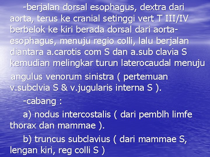 -berjalan dorsal esophagus, dextra dari aorta, terus ke cranial setinggi vert T III/IV berbelok