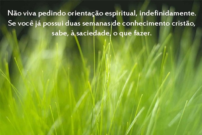 Não viva pedindo orientação espiritual, indefinidamente. Se você já possui duas semanas de conhecimento