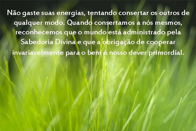 Não gaste suas energias, tentando consertar os outros de qualquer modo. Quando consertamos a