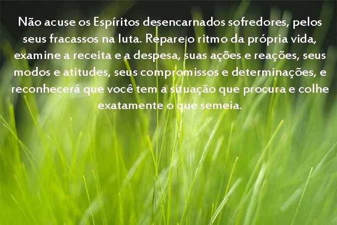 Não acuse os Espíritos desencarnados sofredores, pelos seus fracassos na luta. Repare o ritmo