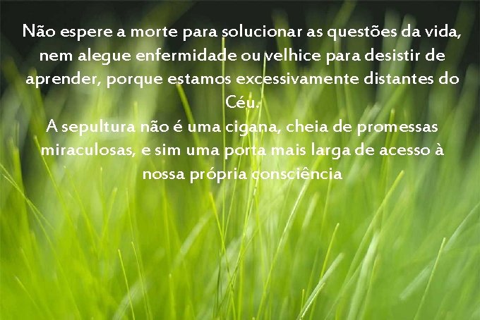 Não espere a morte para solucionar as questões da vida, nem alegue enfermidade ou