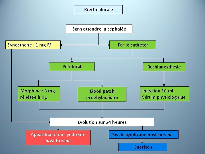 Brèche durale Sans attendre la céphalée Synacthène : 1 mg IV Par le cathéter