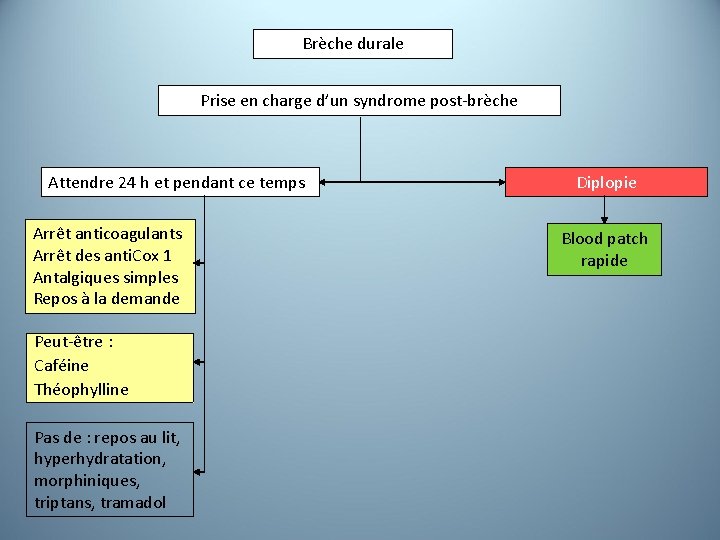 Brèche durale Prise en charge d’un syndrome post-brèche Attendre 24 h et pendant ce