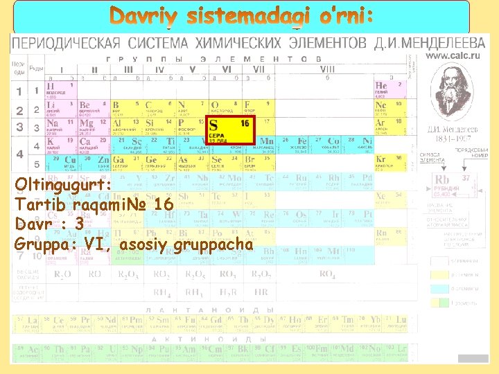 Oltingugurt: Tartib raqami№ 16 Davr : 3 Gruppa: VI, asosiy gruppacha 