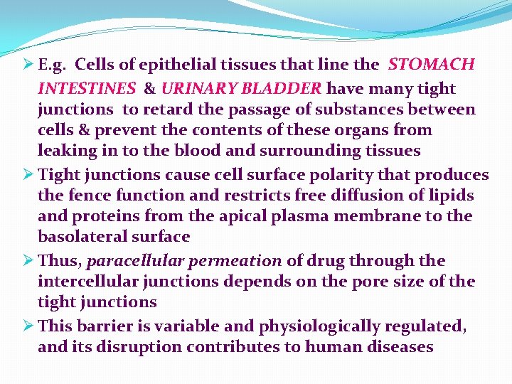 Ø E. g. Cells of epithelial tissues that line the STOMACH INTESTINES & URINARY