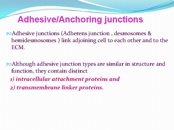 Adhesive/Anchoring junctions Adhesive junctions (Adherens junction , desmosomes & hemidesmosomes ) link adjoining cell