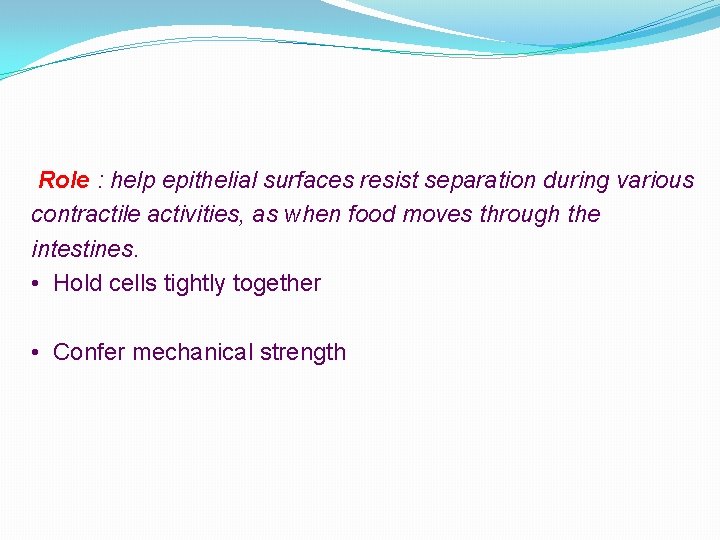 Role : help epithelial surfaces resist separation during various contractile activities, as when food
